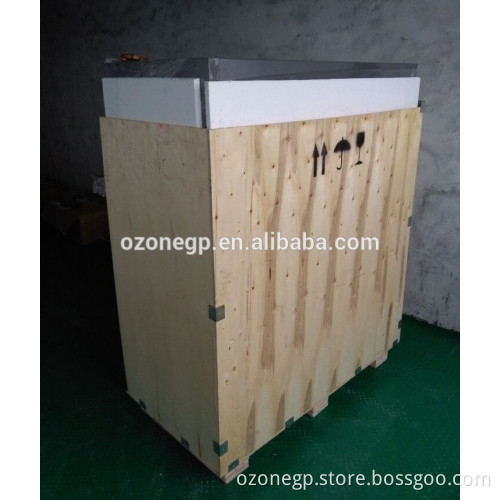 special sale 3L 5L 10L oxygen concentrator fish farm for fish tank